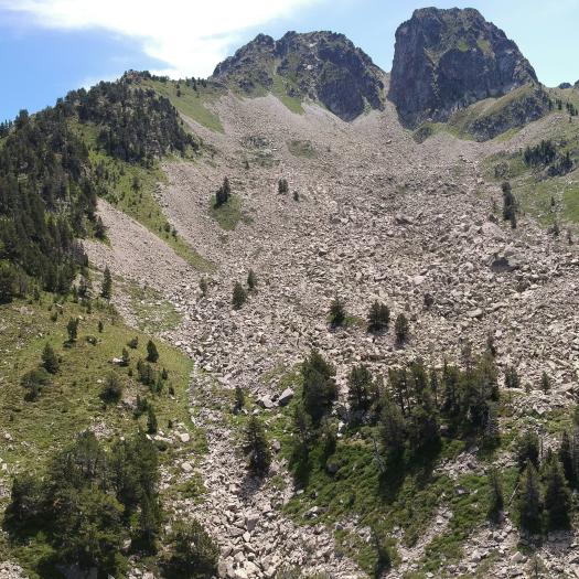 Pyrénées_MD