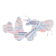 ComE_wordcloud