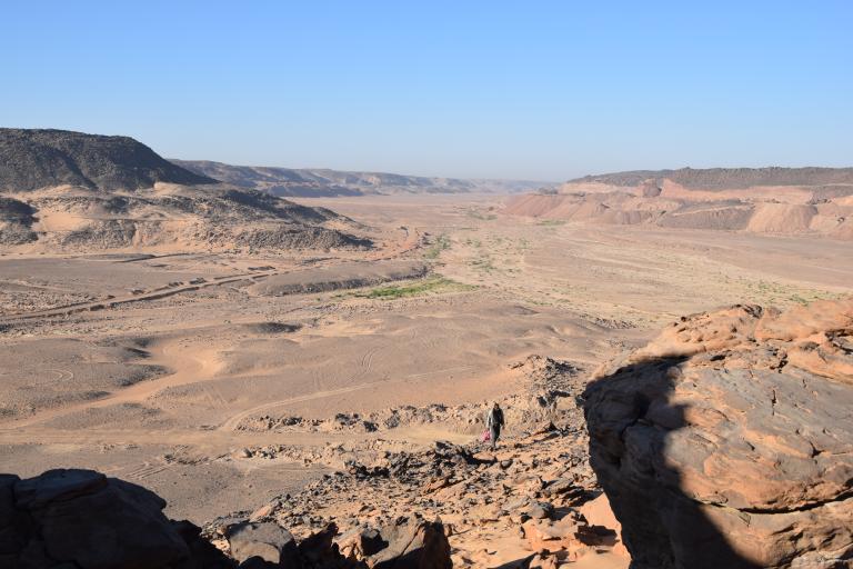 "Désert oriental, Égypte. Décembre 2024 (c) Alice Leplongeon"